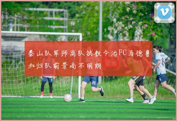 泰山队军师离队执教今治FC马德鲁加归队前景尚不明朗