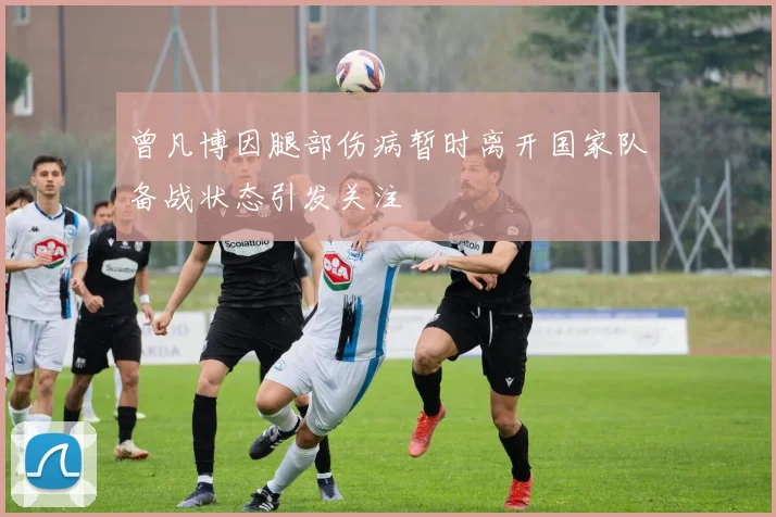 曾凡博因腿部伤病暂时离开国家队备战状态引发关注