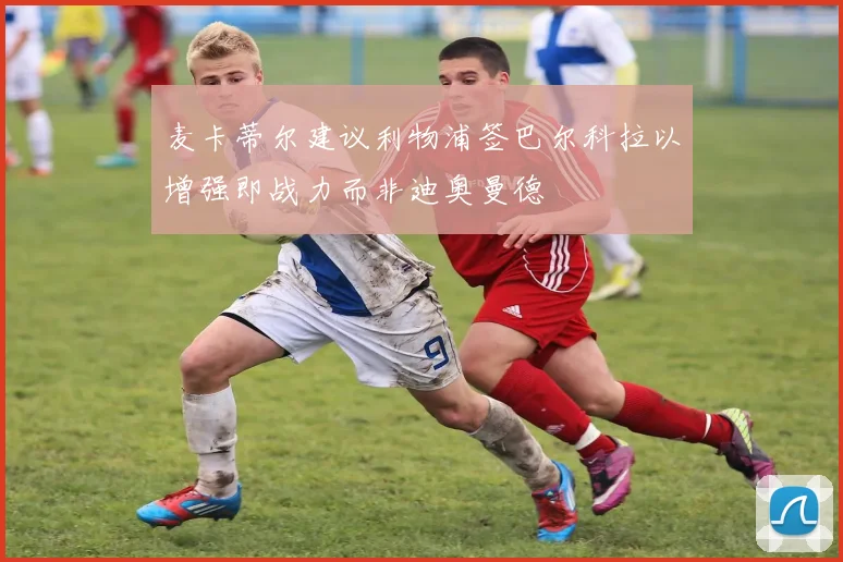 麦卡蒂尔建议利物浦签巴尔科拉以增强即战力而非迪奥曼德