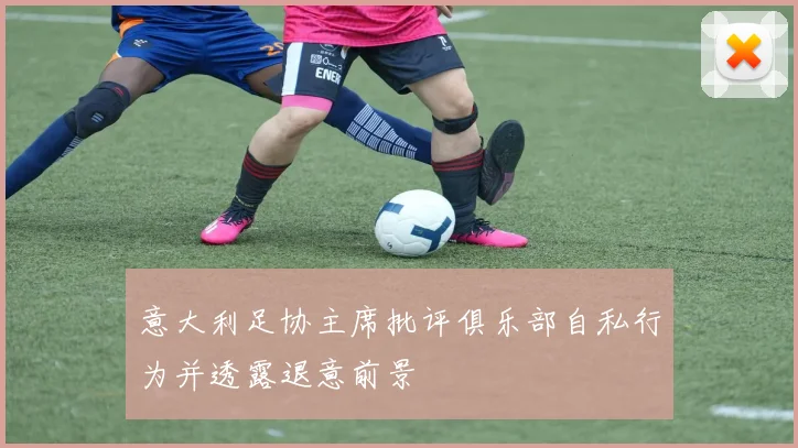 意大利足协主席批评俱乐部自私行为并透露退意前景