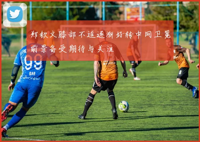 郑钦文膝部不适逐渐好转中网卫冕前景备受期待与关注